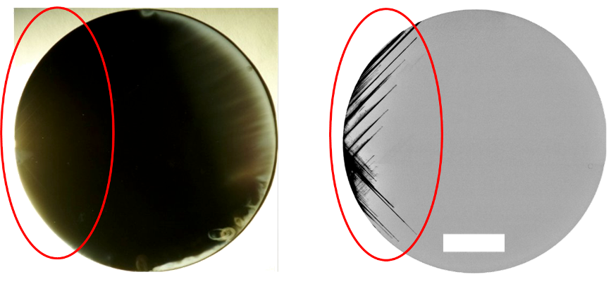 Fig. 1: Illustrating the differences between optical (left) and X-ray diffraction (right) images. The effect and extent of the crystal defects is more pronounced in the X-ray image.